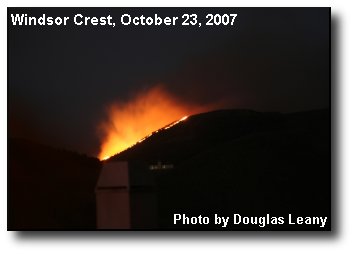 Rosa Fire