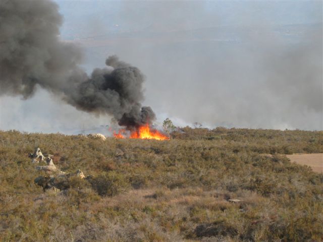 Fire Photo