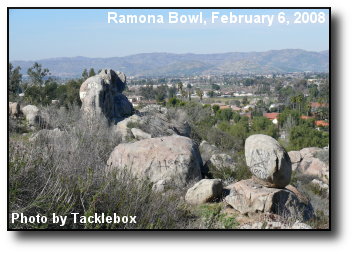 Bowl View
