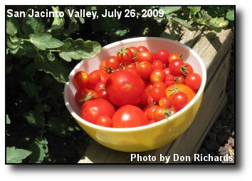 Bumper Crop