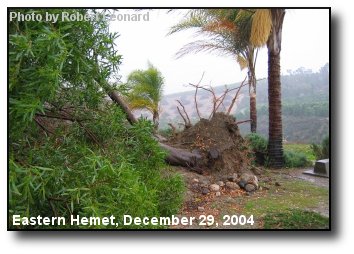 Storm Damage