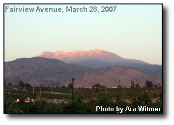 Evening Snowcap