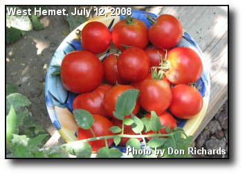 Home Grown