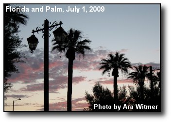 Palms at Dawn