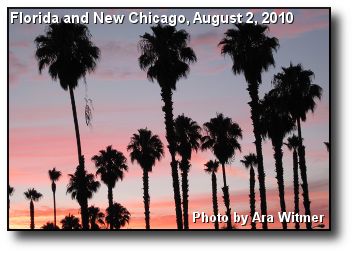Summer Palms