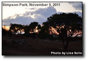 Picnic Area