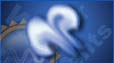 Windy, Mostly sunny