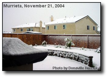 Backyard Snow
