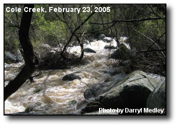 Cole Creek Rapids