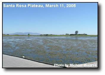 Vernal Pool
