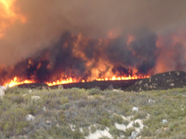 Fire Photo