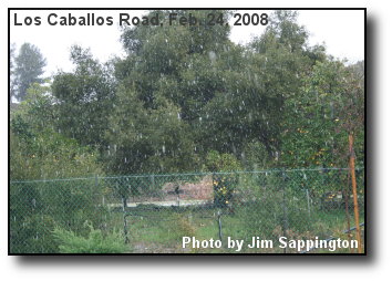 Big, Wet Snow Flakes