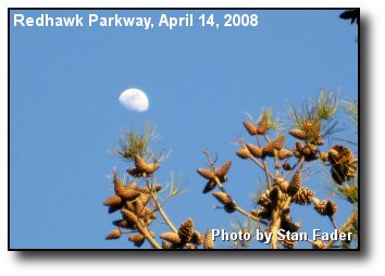 Daylight Moon