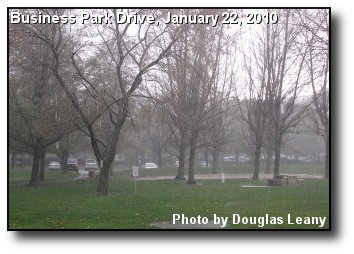 Driving Rain