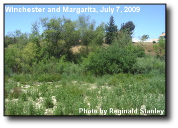 Dry Creekbed