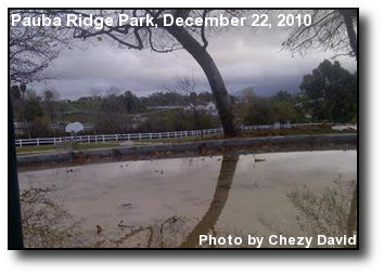 Flooded Park