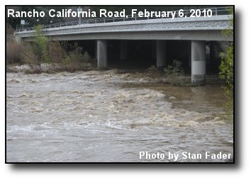Flowing Creek