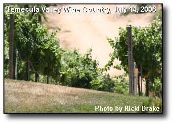 Fruitful Vineyard