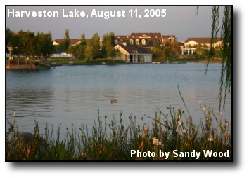 Big Pond
