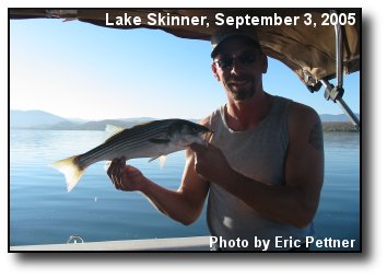 Local Catch