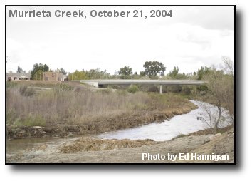 Creek Flow