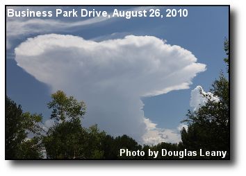 Mushroom Cloud