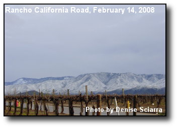 Palomar Range