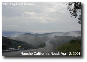 Road Mist