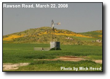 Spring Meadow