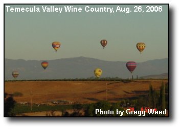 Summer Balloons