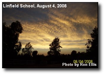 Summer Clouds
