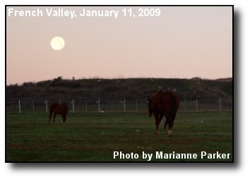 Valley Moon
