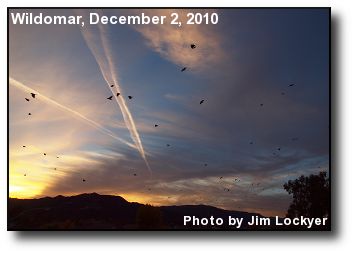 Crows and Contrails